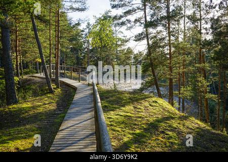 Pūrciems Weißer Dünenweg, Lettland Stockfoto