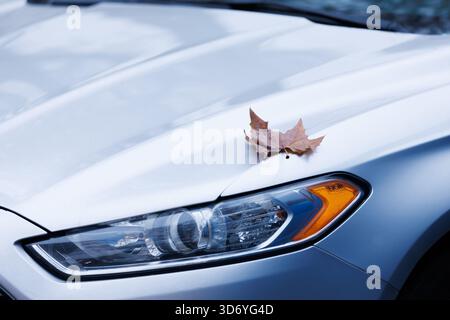 Einzelnes Ahornblatt auf silberner Haube. Sauberes, minimalistisches Bild eines trockenen Ahornblattes, das allein auf einer silbernen Autohaube ruht. Herbstbanner, Hintergründe und Meer Stockfoto