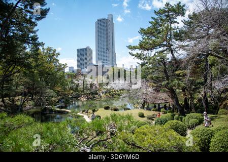 Die Skyline Der Stadt Erhebt Sich Über Dem Traditionellen Japanischen Garten. Moderne Türme blicken auf einen ruhigen japanischen Garten mit Frühlingsfarben. Stockfoto