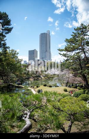 Hoch Aufragende Stadtgebäude Über Dem Friedlichen Japanischen Garten. Eine hohe Skyline erhebt sich über einem ruhigen japanischen Garten mit Frühlingsblüten. Stockfoto