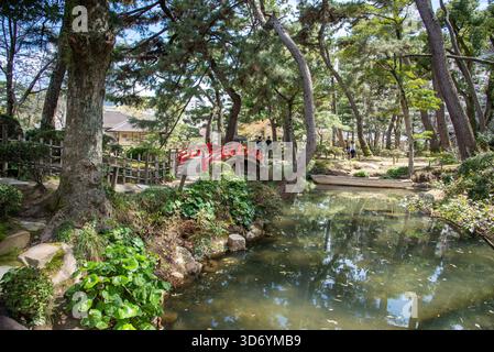 Japanischer Gartenteich mit Roter Brücke und Holzboot. Ein ruhiger Teich spiegelt Bäume wider und eine rote Brücke neben einem kleinen Holzboot. Stockfoto