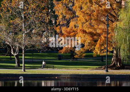 Herbstbäume im Boston Public Garden mit Menschen, die auf der Bank sitzen und laufen Stockfoto