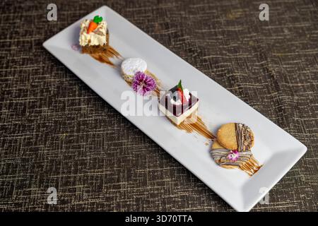 Verschiedene Gourmet-Dessertteller mit Mini-Kuchen, Käsekuchen, Keksen und Schokoladendekorationen, elegante Restaurantpräsentation. Stockfoto