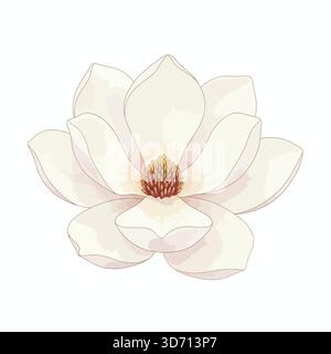 Weiße Magnolienblüte botanische Icon Vektor Illustration für elegante Blumenfrühlingsblüte Naturschönheit und dekorative Konzepte Stock Vektor