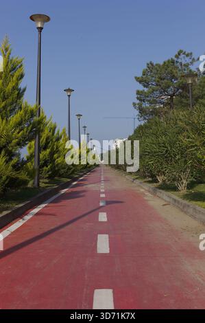 Gerader Fußgänger- und Fahrradweg gesäumt von Bäumen unter klarem Himmel in einem öffentlichen Park Stockfoto