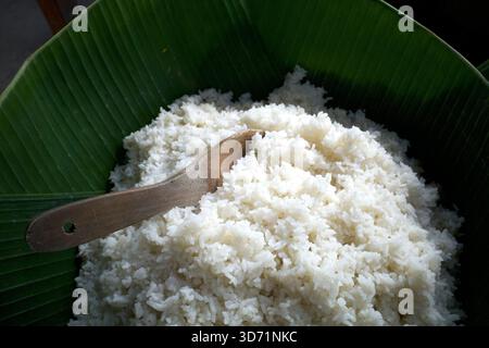 Gekochter weißer Reis, serviert auf grünen Bananenblättern mit einem Holzlöffel. Stockfoto