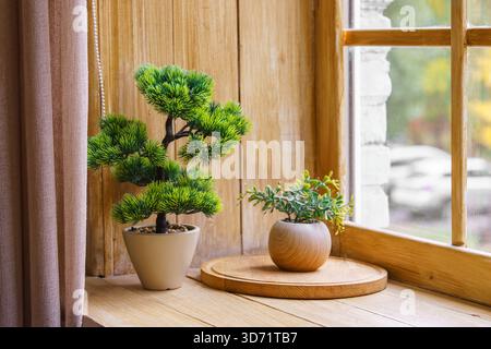 Kleine Bonsai-Kiefer und saftiger in beigem Topf auf einer hölzernen Fensterbank mit verschwommenem Herbstlaub draußen. Gemütliches natürliches Zuhause mit Stockfoto