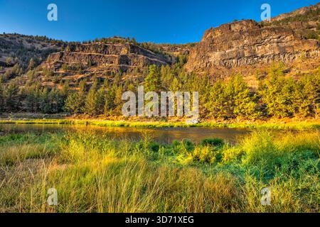 Basaltklippen über dem South Fork Crooked River am Big Bend Campground, Crooked River Natl Wild und Scenic River südlich von Prineville, High Desert, Oregon Stockfoto