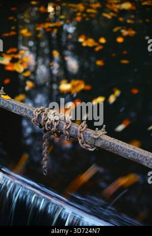 Rostige Metallkette mit herbstlichen Blättern im Hintergrund, die auf dem Wasser schwimmen. Stockfoto