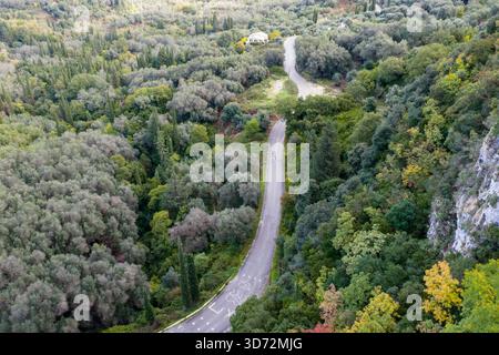 Von oben nach unten auf die gewundene Asphaltstraße, die sich durch dichten grünen Olivenhain-Wald in Korfu, Griechenland, kurvt, malerische Reiseroute in der Natur Stockfoto