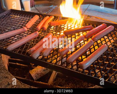 Offenes Feuer mit Würstchen, die gegrillt werden Stockfoto