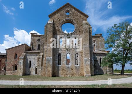 Westfassade der dachlosen Zisterzienserabtei San Galgano bei Chiusdino, gotische Steinkirche aus dem 13. Jahrhundert vor einem Sommerhimmel. Stockfoto