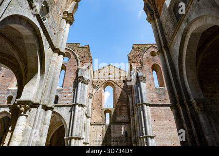 Die Ruinen der Zisterzienserabtei San Galgano aus dem 13. Jahrhundert, gotische Steinbögen, die sich in der ländlichen Toskana zum Himmel öffnen. Stockfoto