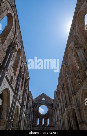 Innenschiff der dachlosen Zisterzienserabbazia di San Galgano, gotische Ziegelsteinruinen aus dem 13. Jahrhundert in der Nähe von Chiusdino unter Sommersonne. Stockfoto