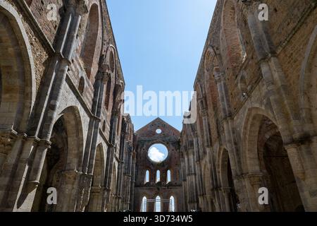 Innenschiff der Ruine der Zisterzienserabtei San Galgano, gotische Architektur aus Kalkstein und Ziegelstein aus dem 13. Jahrhundert bei Chiusdino. Stockfoto