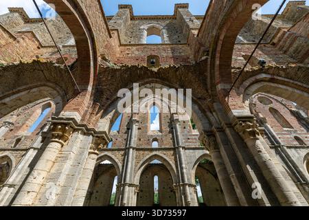 Innere Ruinen der gotischen Zisterzienserabtei von San Galgano bei Chiusdino mit Spitzbögen und überdachlosen Steingewölben. Stockfoto