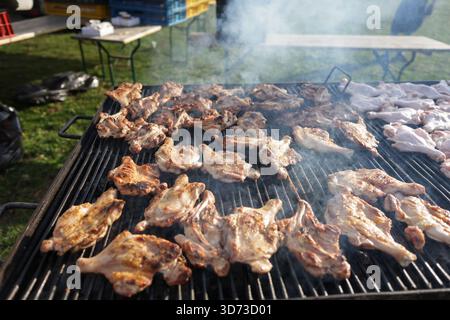 Details mit geringer Schärfentiefe (selektiver Fokus) mit Hähnchenschenkeln auf einem Metallgrill im Freien an einem sonnigen Tag. Stockfoto