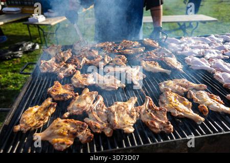 Details mit geringer Schärfentiefe (selektiver Fokus) mit Hähnchenschenkeln auf einem Metallgrill im Freien an einem sonnigen Tag. Stockfoto