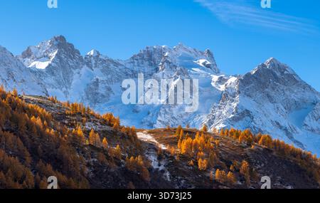 La Meije und die umliegenden Gipfel im Ecrins-Nationalpark in den französischen Alpen. Schneebedeckte Berge und goldene Lärchenwälder. Hautes-Alpes, Frankreich Stockfoto
