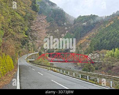 Eine lebhafte rote Brücke überspannt einen Fluss, mit einer Straße durch ein grünes Tal, umgeben von Bergen Stockfoto