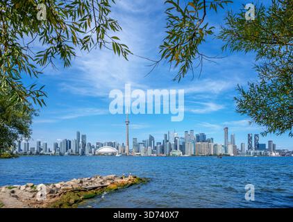 Die Skyline der Innenstadt vom Toronto Island Park (Middle Island), Centre Island, Toronto, Ontario, Kanada Stockfoto
