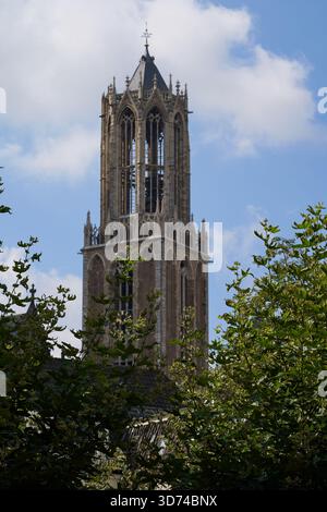 Utrecht, Niederlande - 30. August 2025 - der Dom ist das Wahrzeichen von Utrecht und der höchste Kirchturm der Niederlande Stockfoto