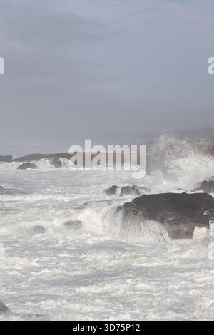 Bei Flut in Yachats, Oregon, plätschern große Wellen auf Felsen. Stockfoto