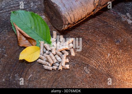 Draufsicht mit einem Haufen Holzpellets und drei kontrastierenden Blättern auf einem Baumstamm, wobei ein Abschnitt eines Baumstamms schräg im rechten oberen Maisbereich liegt Stockfoto