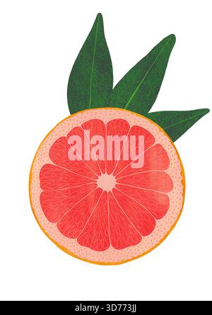 Handbemalte Gouache-Grapefruit auf transparentem Hintergrund. Lebendige Zitrustextur mit ausdrucksstarken Pinselstrichen. Perfekt für umweltfreundliche Verpackungen, gesundes Leben Stockfoto