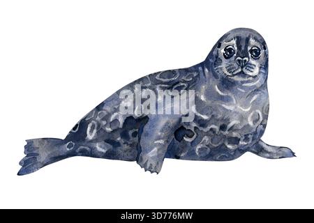 Aquarellillustration einer Saimaa-Ringrobbe, einer bedrohten Art, die in Finnland beheimatet ist. Detailgetreue handgemalte Textur, ausdrucksstarke Augen und natürlich Stockfoto