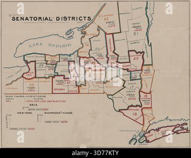 Karte der Senatorial Districts des Bundesstaates New York, ausgestellt 1882. Die Karte ist farbig und misst 30 x 39 cm, präsentiert auf einem Blatt von 34 x 43 cm. Sie zeigt die Anzahl der Bürger, Ausländerinnen und Ausländer sowie die Gesamtstimmen der letzten Parlamentswahlen für jeden Bezirk an Stockfoto