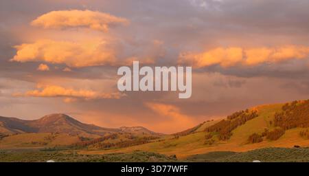 Frühling im Yellowstone-Nationalpark, Wyoming. Sonnenuntergang über Lamar Valley. Stockfoto