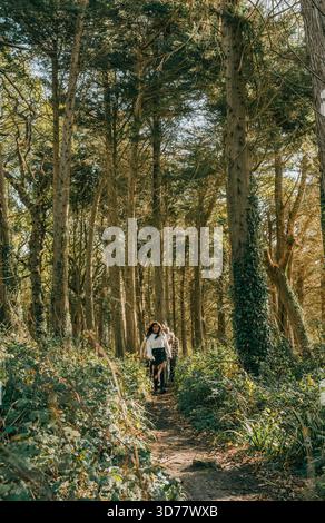 Ein Mann und eine Frau gehen mit ihrem Hund durch einen Wald. Die Atmosphäre ist ruhig und ruhig, da sie die Schönheit der Natur und die Gesellschaft genießen Stockfoto