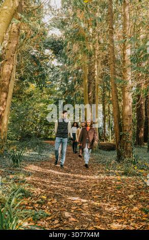 Eine Gruppe von vier Personen spaziert durch einen Wald und genießt die friedliche und ruhige Atmosphäre. Die Bäume sind hoch und dicht, was ein Gefühl von C vermittelt Stockfoto