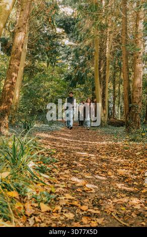 Eine Gruppe von Menschen läuft durch einen Wald, umgeben von Bäumen und Blättern. Die Szene ist friedlich und ruhig, während die Gruppe ihre Zeit in der Natur genießt Stockfoto