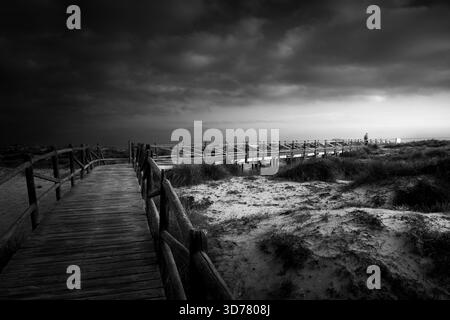 Eine hölzerne Promenade schlängelt sich durch Sanddünen in Richtung eines stimmungsvollen, stürmischen Küstenhorizonts. Die Graustufen-Szene vermittelt Einsamkeit, Widerstandsfähigkeit und leise Reflexion Stockfoto
