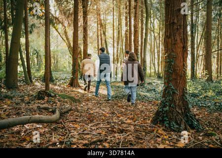 Drei Menschen laufen durch einen Wald, einer trägt eine Jacke. Die Szene ist friedlich und ruhig, während die Gruppe ihre Zeit in der Natur genießt Stockfoto