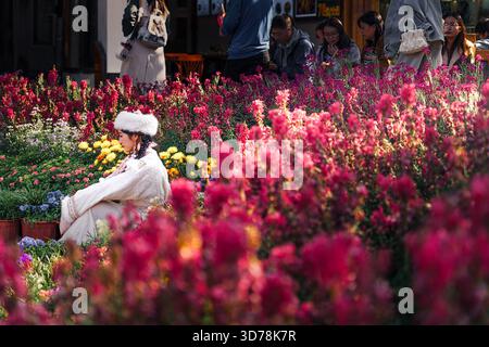 Lijiang, China - 21. November 2025: Blick auf eine Frau in traditioneller Kleidung inmitten eines lebendigen Wandteppichs aus roten und gelben Blumen, die einen Moment der Qui festhält Stockfoto