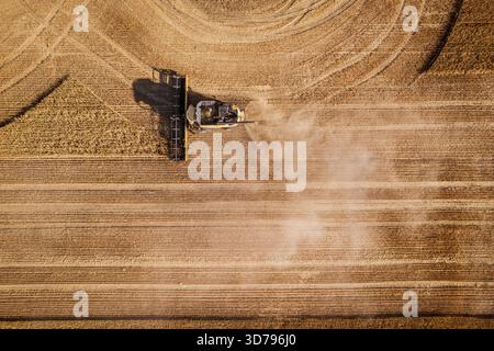 Aus der Vogelperspektive eines Mähdreschers, der ein goldenes Weizenfeld schneidet und wirbelnde Muster und Staubwolken auf der Erde erzeugt, Dandaragan, Western Stockfoto