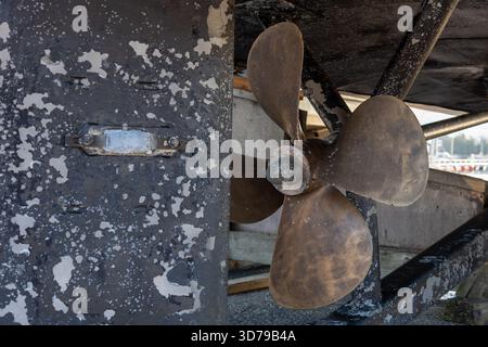Der Propeller und der Boden des Bootes sind mit Acornnacles (Semibalanus balanoides) bedeckt, die abgeschabt, gereinigt und mit Antifouling-Farbe beschichtet werden können Stockfoto