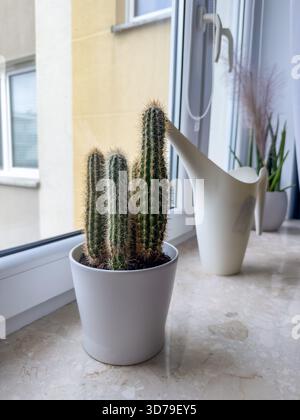 Kakteen im Topf auf Marmorfensterbank mit Gießkanne und Pflanzen im Innenbereich. Minimalistische Inneneinrichtung Stockfoto