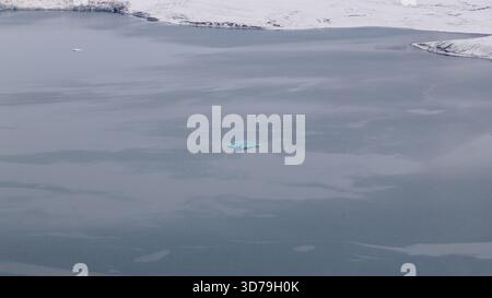 Aus der Vogelperspektive eines einsamen, türkisfarbenen Eisbergs, der in der Gletscherlagune den gedämpften Himmel in einer Landschaft mit schneebedeckten Ufern reflektiert, Jokulsar Stockfoto