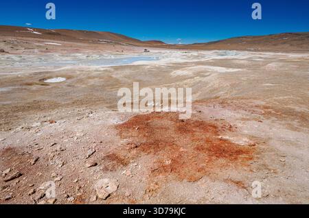 Bunte Schlammbecken, heiße Quellen und Fumarolen im Geysirbecken Sol de Manana im Eduardo Avaroa National Reserve in Bolivien auf 4900 m Höhe Stockfoto