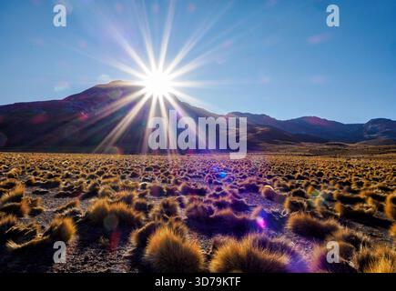 Sonnenaufgang über dem Geysirfeld El Tatio auf 4320 m Höhe in den Anden im Norden Chiles Stockfoto