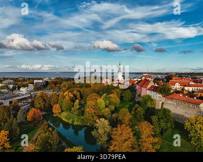 Herbst in Tallinn - Panoramablick auf Altstadt und Meer Stockfoto