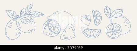Zitronenkritzelgarnitur mit Scheiben und Blättern Stock Vektor