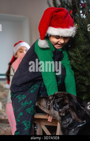 Lächelndes Mädchen im Pyjama und Weihnachtsmann-Hut, der den Weihnachtsbaum zu Hause dekoriert, klettert auf den Hocker neben einem Hund und einem Geschwister dahinter Stockfoto