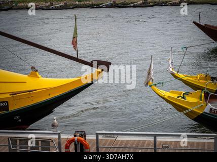 Eine Möwe und gelbe Rabelo Boote, die auf dem Duoro Rover, Porto, Portugal, vor Anker gebracht werden Stockfoto
