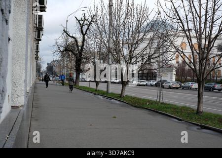 Die Menschen laufen entlang einer von Bäumen gesäumten Allee unter den sich abzeichnenden Winterwolken. 24. November 2025, Kiew, Ukraine, Schewtschenko Boulevard Stockfoto