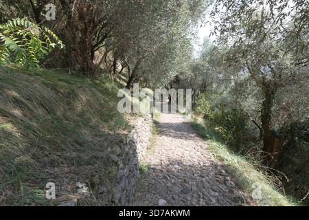 Ein Blick auf den Wanderweg in Marostica, Italien Stockfoto